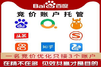 竞价托管sem的胜利果实：某零售商的营销策略