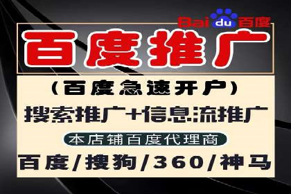SEM服务案例：提升网站流量